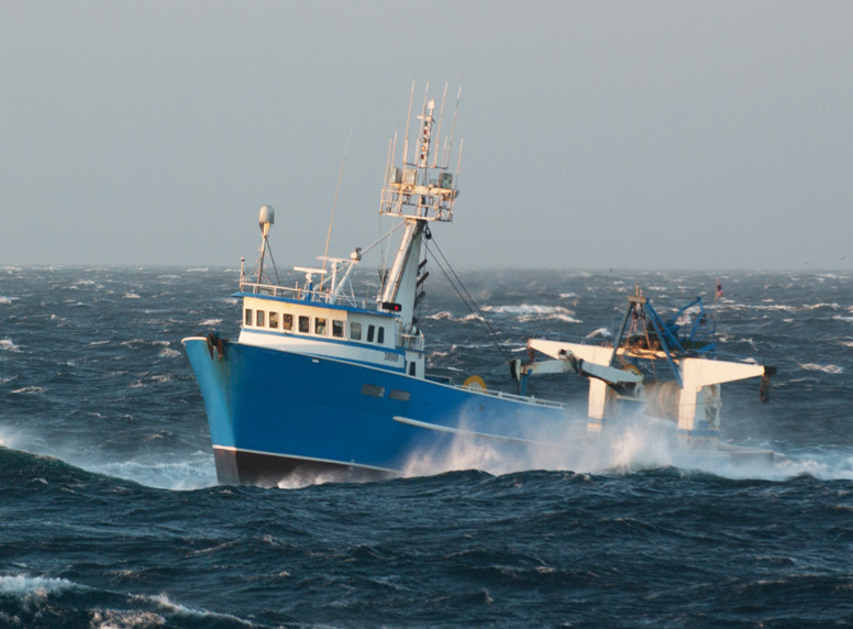 TO-SCIENCE-WE-SUPPORT-IMAGE