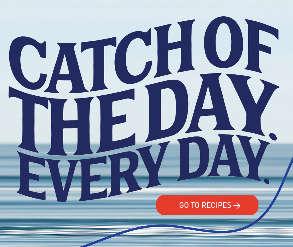 to-rotating-CATCH-OF-DAY-RIGHT